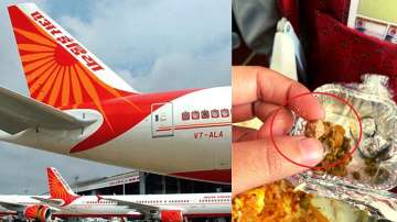 Passenger finds stone in meal.