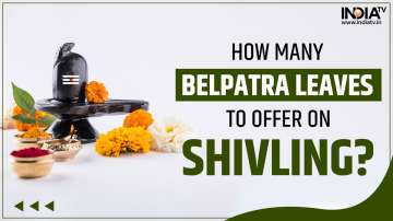 How many belpatra leaves should be offered on Shivling?