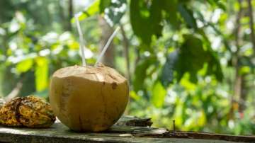 What are the side effects of drinking coconut water daily
