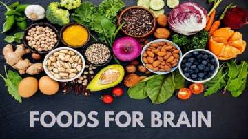 Essential brain foods that are crucial for your child's memory and focus