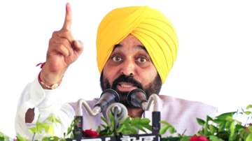 Ajnala Incident, Ajnala incident news, Bhagwant mann, Punjab CM, Punjab CM Bhagwant Mann, Bhagwant 