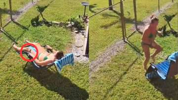 Viral video of snake crawling up on sunbathing woman