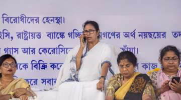 Mamata Banerjee at dharna