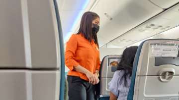 Akasa Air passenger shares cabin crew member in comfortable uniform.