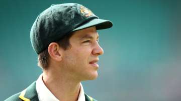 Tim Paine