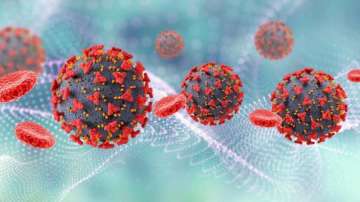 No need to panic over H3N2 virus: Karnataka Health Minister K Sudhakar assures public 