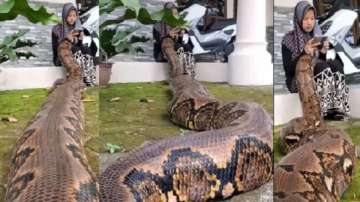 Woman relaxes with a massive python in her lap