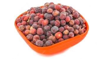 Indian Sherbet Berry Phalsa