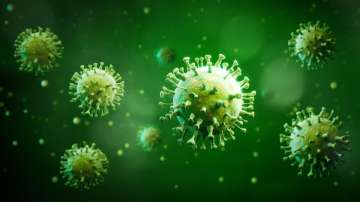 India's first H3N2 influenza deaths: 1 each in Karnataka and Haryana 