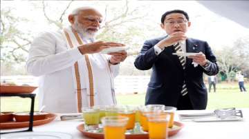 PM Modi and his Japanese counterpart Fumio Kishida relish 'Golgappas'.