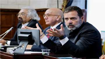 Rahul Gandhi interacts with British MPs