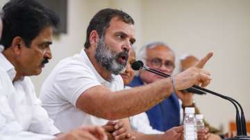 Days after Rahul Gandhi's expulsion, his namesake disqualified | Know Why 