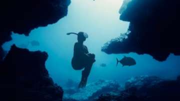 Best destinations for a surreal scuba diving experience 