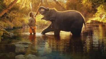 The Elephant Whisperers wins Oscars 2023