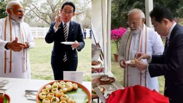 Japanese PM tries golgappe with PM Modi