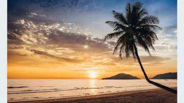 Seven Goa beaches to feel peaceful 