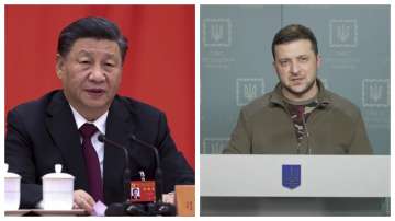 Xi Jinping,  Volodymyr Zelenskyy