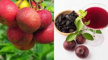 Health benefits of Kokum fruit