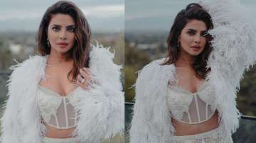 Priyanka Chopra lost films due to THIS reason