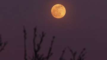 Pink Moon 2023: Full moon of spring appears in the sky