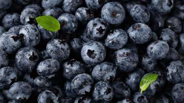 Blueberries for brain health