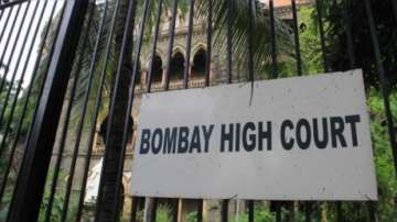 Bombay High Court, divorced woman, child adoption, Bombay High Court on child adoption 