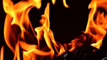 shocking, man sets copassenger on fire, man sets copassenger ablaze, man sets co passenger on fire