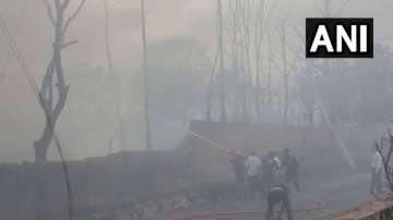 Gujarat, Gujarat news, fire in firecracker godown, fire in firecracker company, gujarat news,