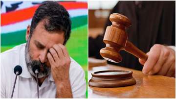 Modi surname case: Gujarat HC judge recuses from hearing Rahul Gandhi's plea against his conviction