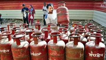 LPG Revolution: 17 crore new connections double customer base in 9 years, claims official data