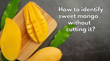 How to identify sweet mango without cutting it?
