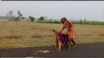 70 year old woman Surya Harijan walk barefoot for kms to collect pension, OLD woman viral video, FM 