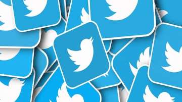 Twitter blue birdie, twitter blue, twitter tick 