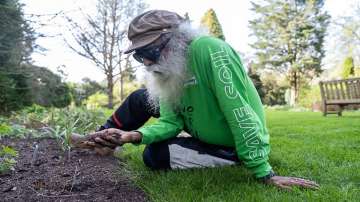 The Earth and the Soil are living entities. It is my wish and my blessing that we act as one humanity to turn the situation around from the brink of disaster, says Sadhguru