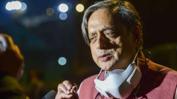 Lok Sabha Election 2024, Lok Sabha Election 2024 Shashi Tharoor, Shashi Tharoor, Shashi Tharoor news