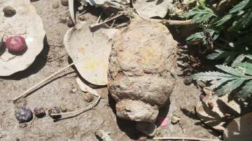 Punjab: Bomb found in Tarn Taran's Gurdwara Sri Darbar Sahib