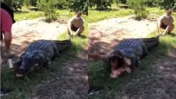 Man swallowed by crocodile comes out of its jaw alive