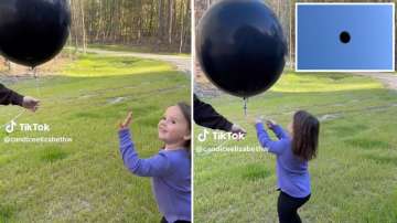 Toddler's Gender Reveal Blunder Becomes Viral 