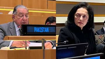 India’s permanent ambassador to the United Nations Ruchira Kamboj and her Pakistani counterpart Munir Akram.