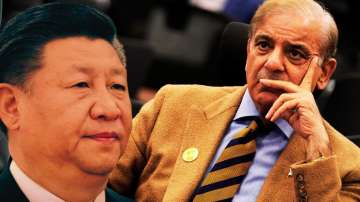 Chinese President XI Jinping and his Pakistani Excellency Shehbaz Sharif 