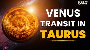 Venus Transit 2023: Effect on 12 zodiac signs