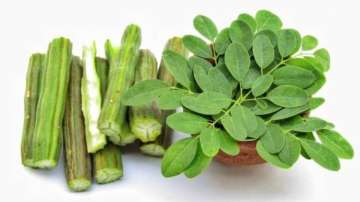 Moringa, or drumstick plant offers sexual benefits