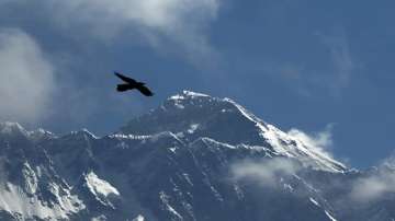  A bird flies with Mount Everest seen in the background from Namche Bajar, Solukhumbu district.