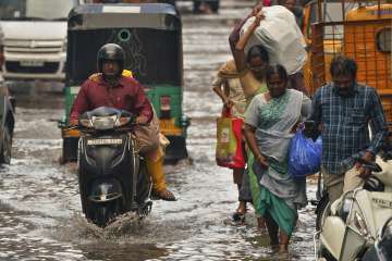 India to receive normal Monsoon this year: IMD