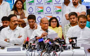 Pawar shares a good rapport with almost all political parties