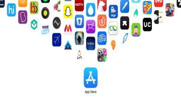 Apple's App Store, fraudulent transactions 