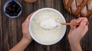 Foods you should stop eating with curd