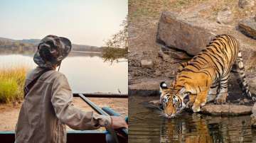 Ranthambore: The King of National Parks in India