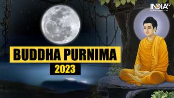 2023 Is buddha better than paw leopard ImSHAURYA2009). 