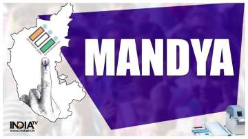 Mandya, Karnataka elections